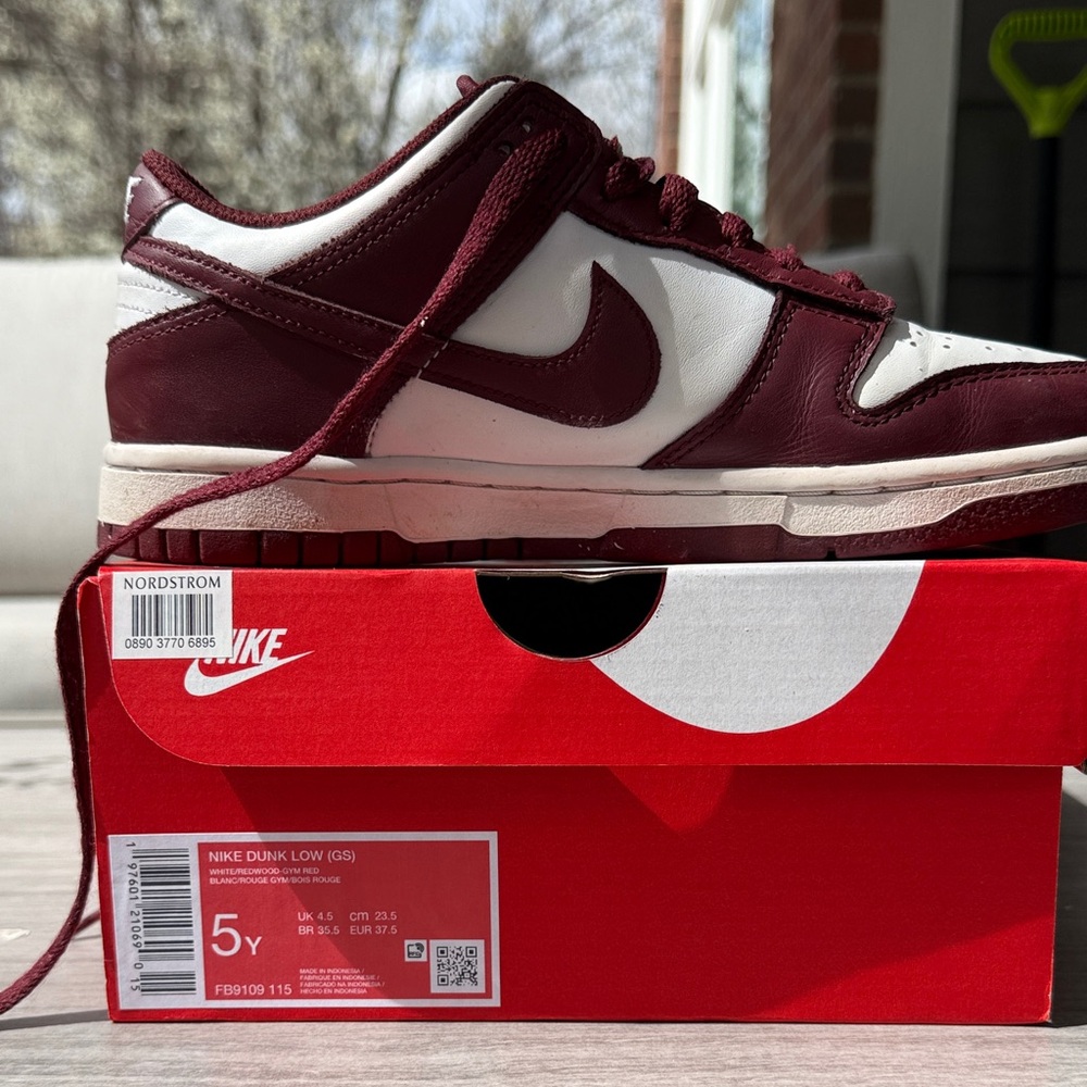 Nike Dunk Low (GS) Redwood youth sneakers